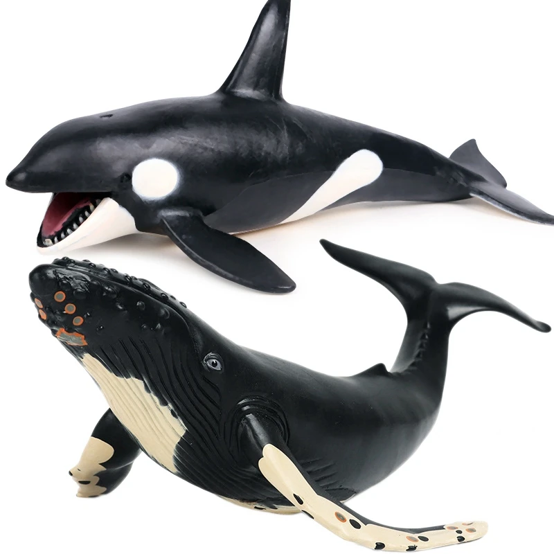 Sea Life Animals Killer Whale Model Action Figures Pvc & Simulation Marine Animal Model Soft Rubber Humpback Whale Model
Sea Life Animals Killer Whale Model Action Figures Pvc & Simulation Marine Animal Model Soft Rubber Humpback Whale Model