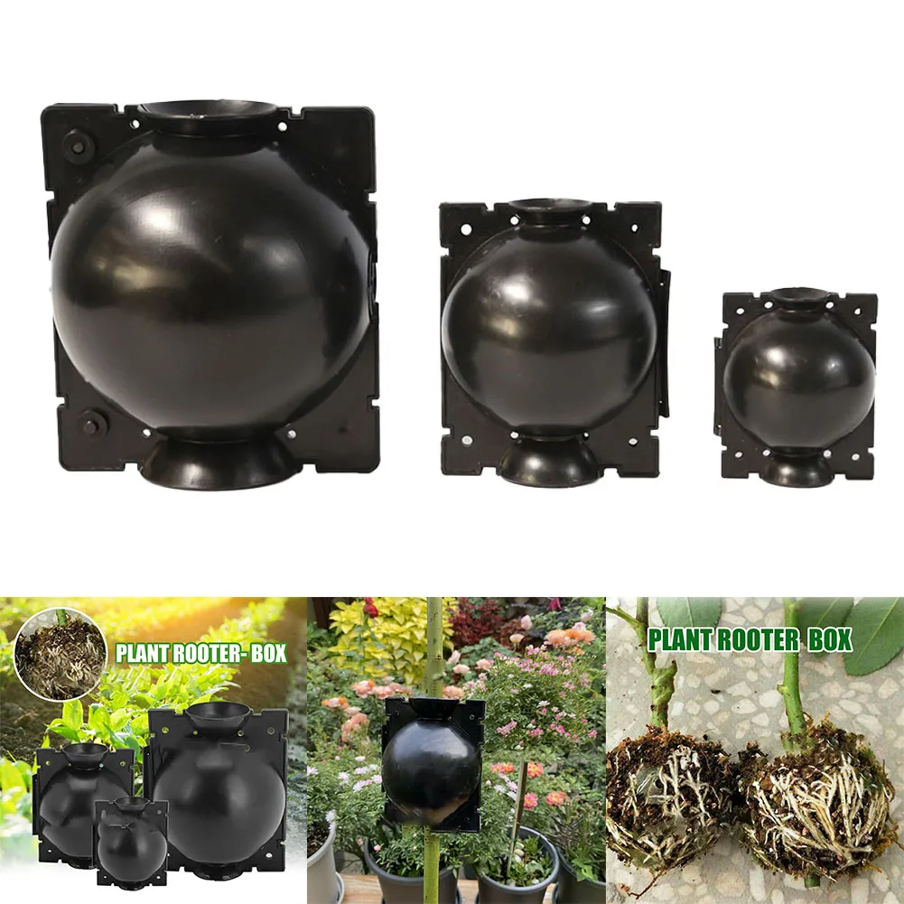 3pcs 5/8/12cm Plant Rooting High Pressure Propagation Ball Root Grow Grafting Box Lant Root Growing Box Planting Nursery Ball
3pcs 5/8/12cm Plant Rooting High Pressure Propagation Ball Root Grow Grafting Box Lant Root Growing Box Planting Nursery Ball