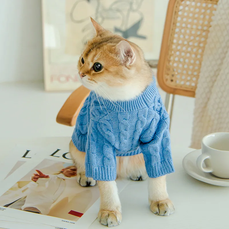 Cat Accessories Kitten Gifts Pet Clothing Sweater Woolen Yarn
Cat Accessories Kitten Gifts Pet Clothing Sweater Woolen Yarn