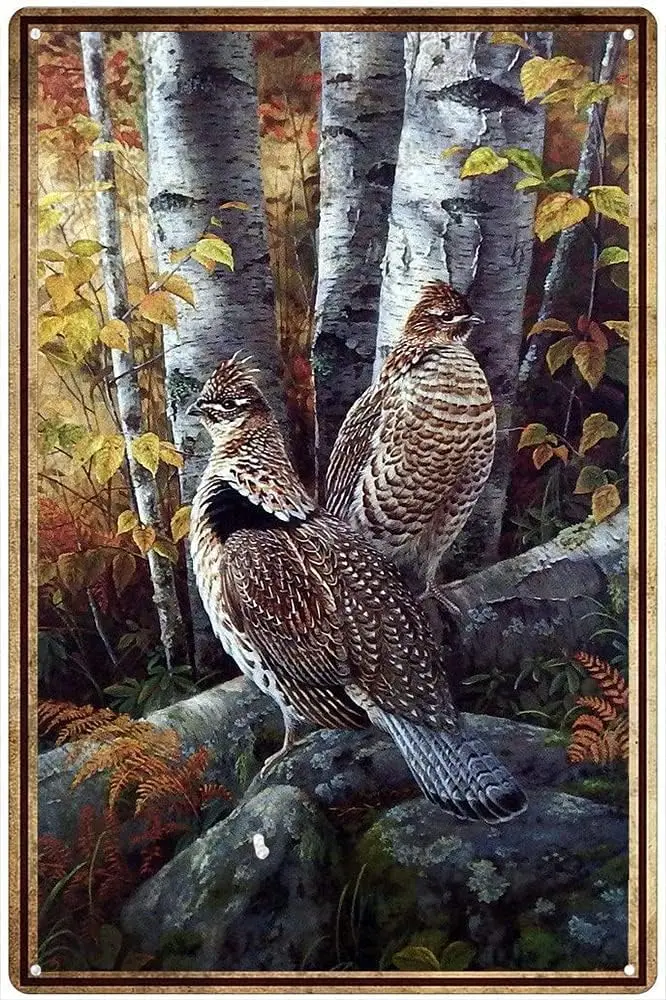 1p, винтажная металлическая вывеска Grouse, гофрированная дикая природа, розмарин, птица, ретро жестяная вывеска, настенный декор для дома, офиса, ванной комнаты, бара, клуба Ca
1p, винтажная металлическая вывеска Grouse, гофрированная дикая природа, розмарин, птица, ретро жестяная вывеска, настенный декор для дома, офиса, ванной комнаты, бара, клуба Ca