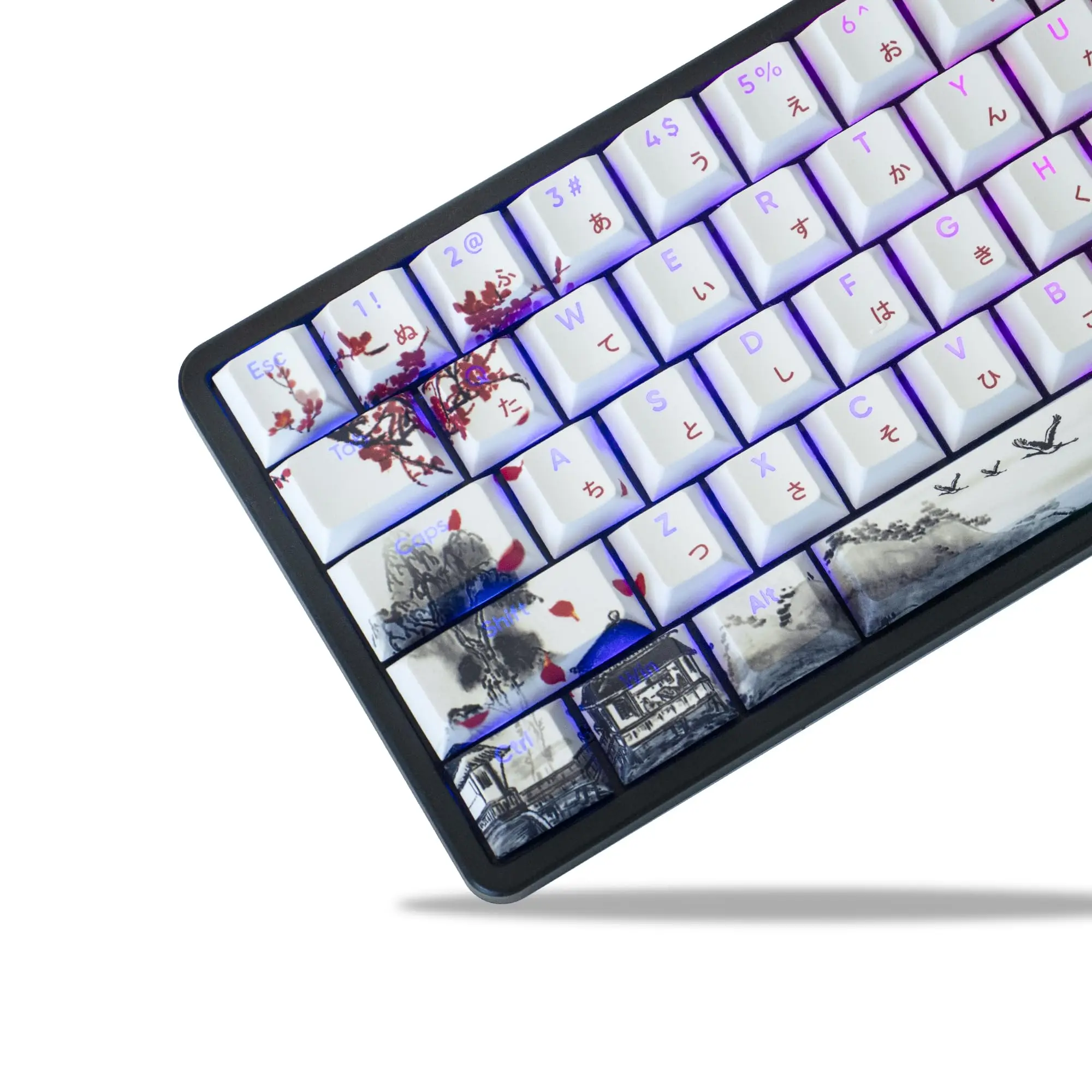 127 Keys Shine Through Plum Blossom Cherry Profile Keycap PBT Keycap Dye-Sub Cherry MX Switches For Gamer Mechanical Keyboard
127 Keys Shine Through Plum Blossom Cherry Profile Keycap PBT Keycap Dye-Sub Cherry MX Switches For Gamer Mechanical Keyboard