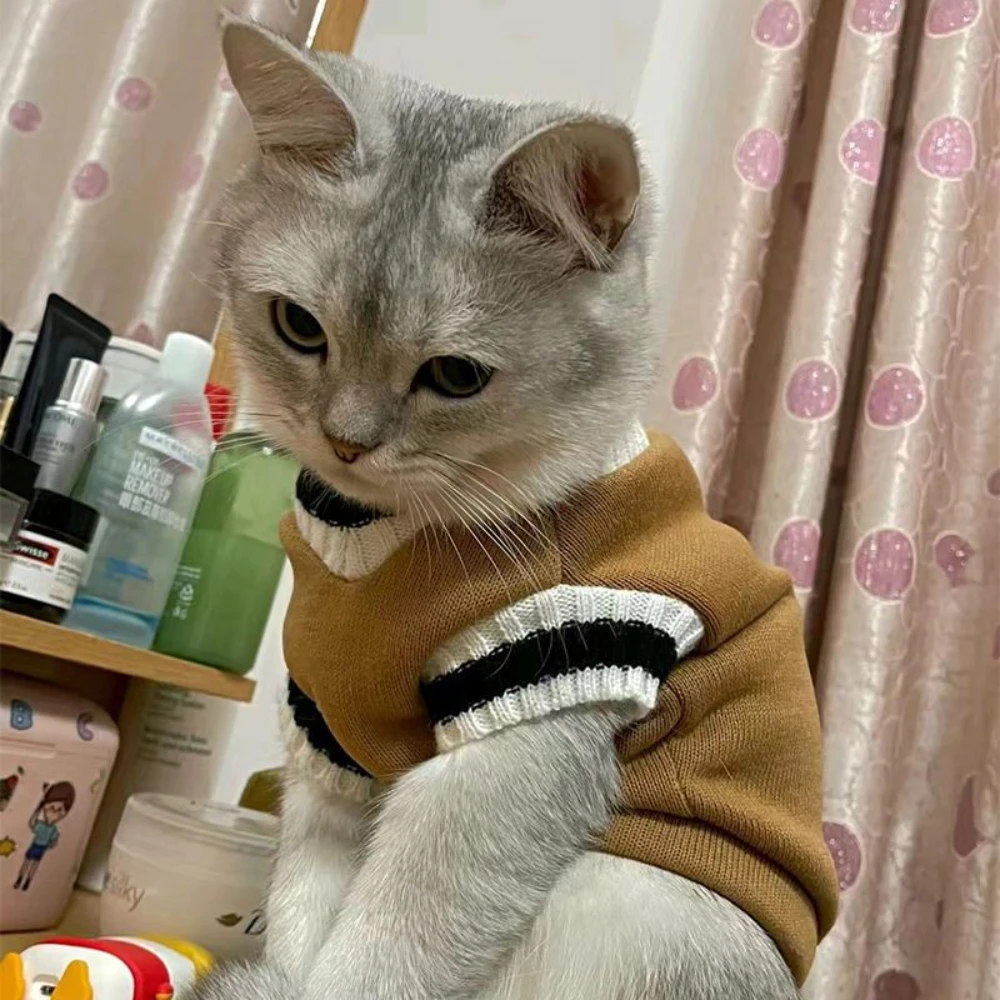 Cat clothes winter autumn winter new pet fleece-lined teddy schnauzer dog college style sweater cat factory wholesale
Cat clothes winter autumn winter new pet fleece-lined teddy schnauzer dog college style sweater cat factory wholesale
