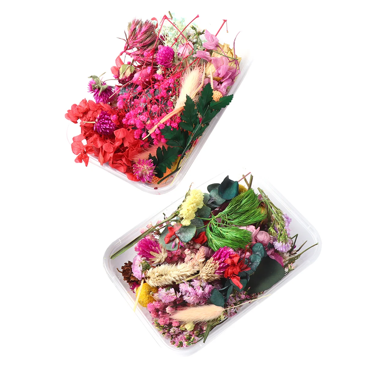 Flowers Dried Flower Dry Pressed Natural Nail Diymixedresin Bath Real Making Multiple Bookmark Specimen Jewelry Accessories Bomb
Flowers Dried Flower Dry Pressed Natural Nail Diymixedresin Bath Real Making Multiple Bookmark Specimen Jewelry Accessories Bomb