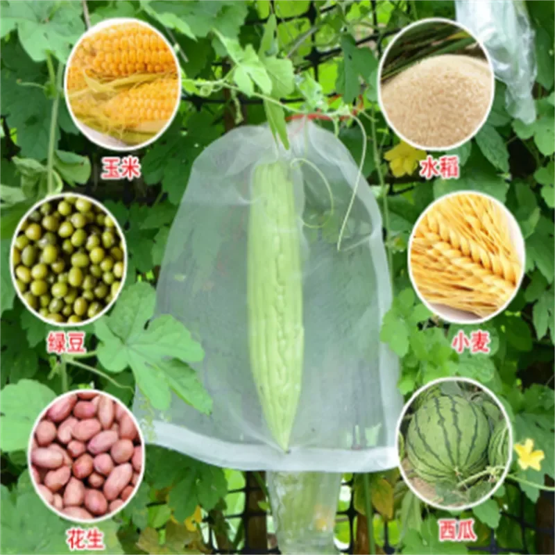 20Pcs Grape Bagging Fruit Insect-proof Nylon Mesh Bag Anti-fruit Fly Anti-bird Net Bag Fruit and Vegetable Insect-proof
20Pcs Grape Bagging Fruit Insect-proof Nylon Mesh Bag Anti-fruit Fly Anti-bird Net Bag Fruit and Vegetable Insect-proof