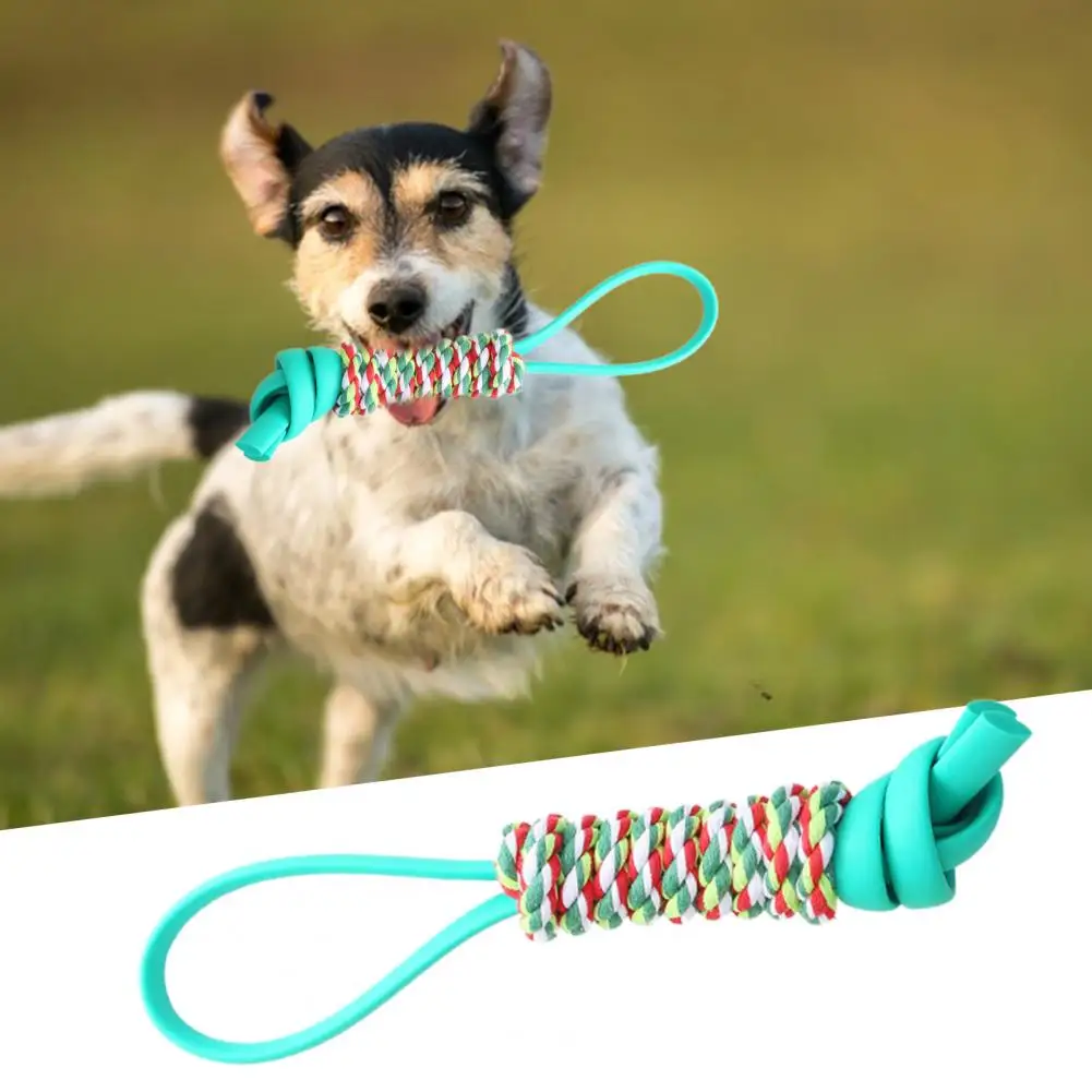 Pet Molar Toy Durable Portable Strong Flexibility Rope Knot Dog Toy for Puppies Dog Chew Toy Pet Teething Toy
Pet Molar Toy Durable Portable Strong Flexibility Rope Knot Dog Toy for Puppies Dog Chew Toy Pet Teething Toy