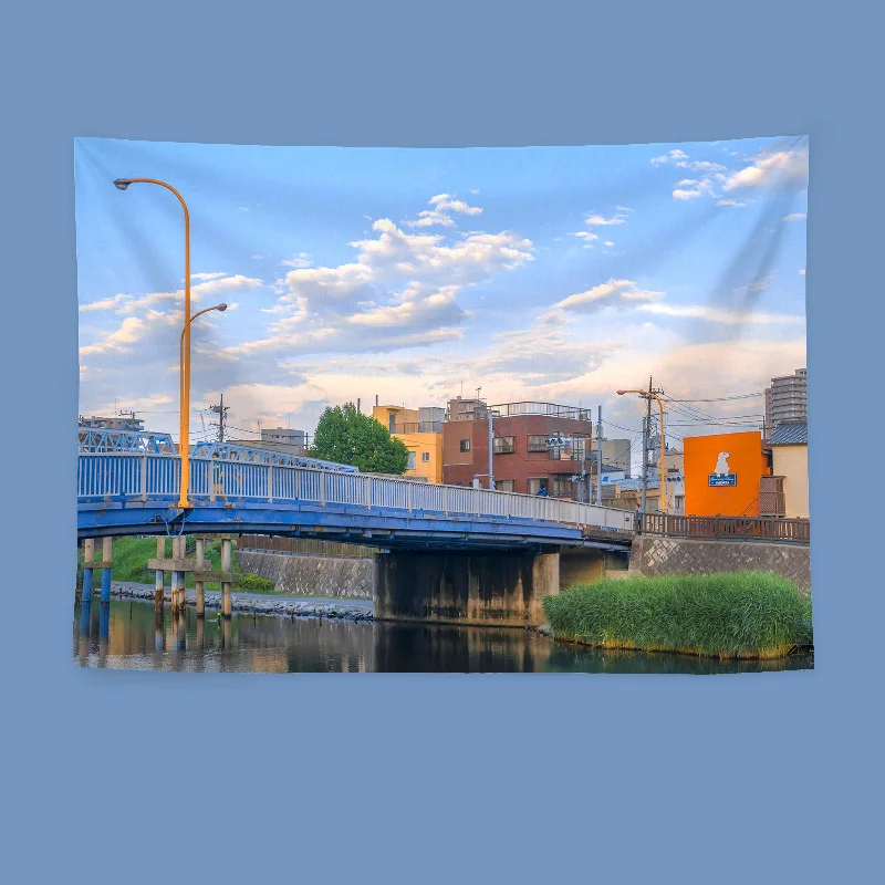 Фон для фотографий в японском стиле с изображением уличного пейзажа
Фон для фотографий в японском стиле с изображением уличного пейзажа