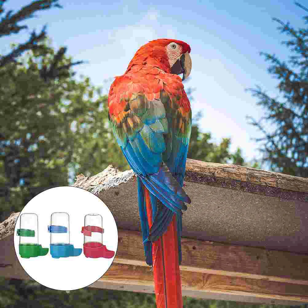 3 Pcs Outdoor Bird Feeder Utensils Birdcage Accessories Feeders Parrot Drinker Automatic Flat Water
3 Pcs Outdoor Bird Feeder Utensils Birdcage Accessories Feeders Parrot Drinker Automatic Flat Water