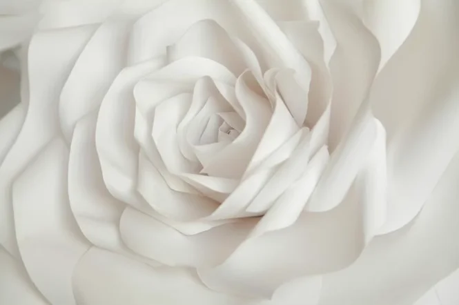 Индивидуальные кремовые абстракционные художественные обои с рисунком белой розы, ТВ-фон, украшение стены, спальня, европейская настенная роспись
Индивидуальные кремовые абстракционные художественные обои с рисунком белой розы, ТВ-фон, украшение стены, спальня, европейская настенная роспись