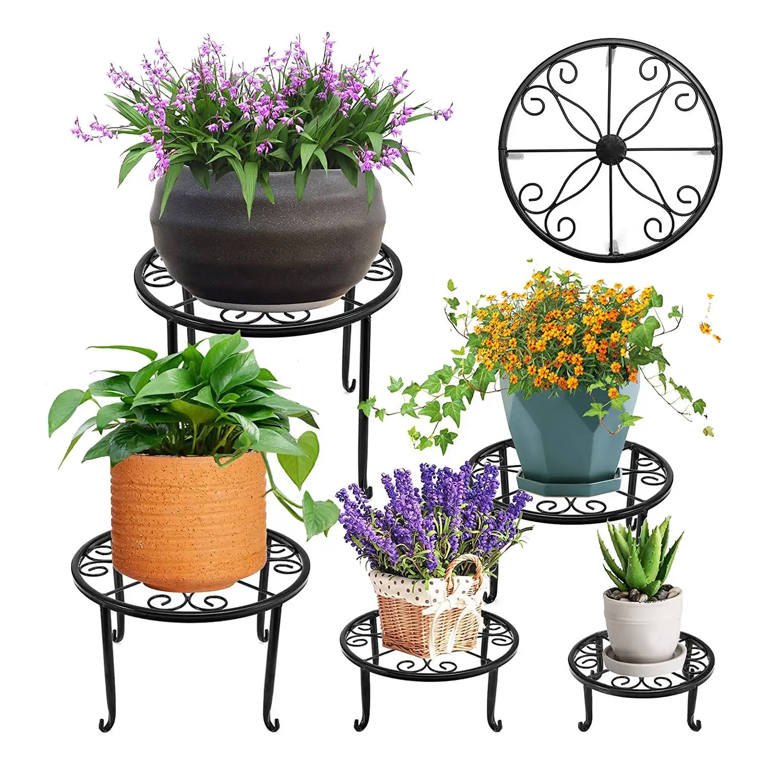 5 Pack Metal Plant Stand for Outdoor & Indoor Plants, Heavy Duty Flower Pot Stands for Multiple Plants, Rustproof
5 Pack Metal Plant Stand for Outdoor & Indoor Plants, Heavy Duty Flower Pot Stands for Multiple Plants, Rustproof