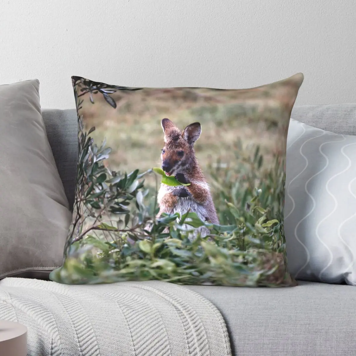 Red Necked Wallaby Pillowcase Polyester Linen Velvet Pattern Zip Decor Pillow Case Sofa Cushion Case
Red Necked Wallaby Pillowcase Polyester Linen Velvet Pattern Zip Decor Pillow Case Sofa Cushion Case