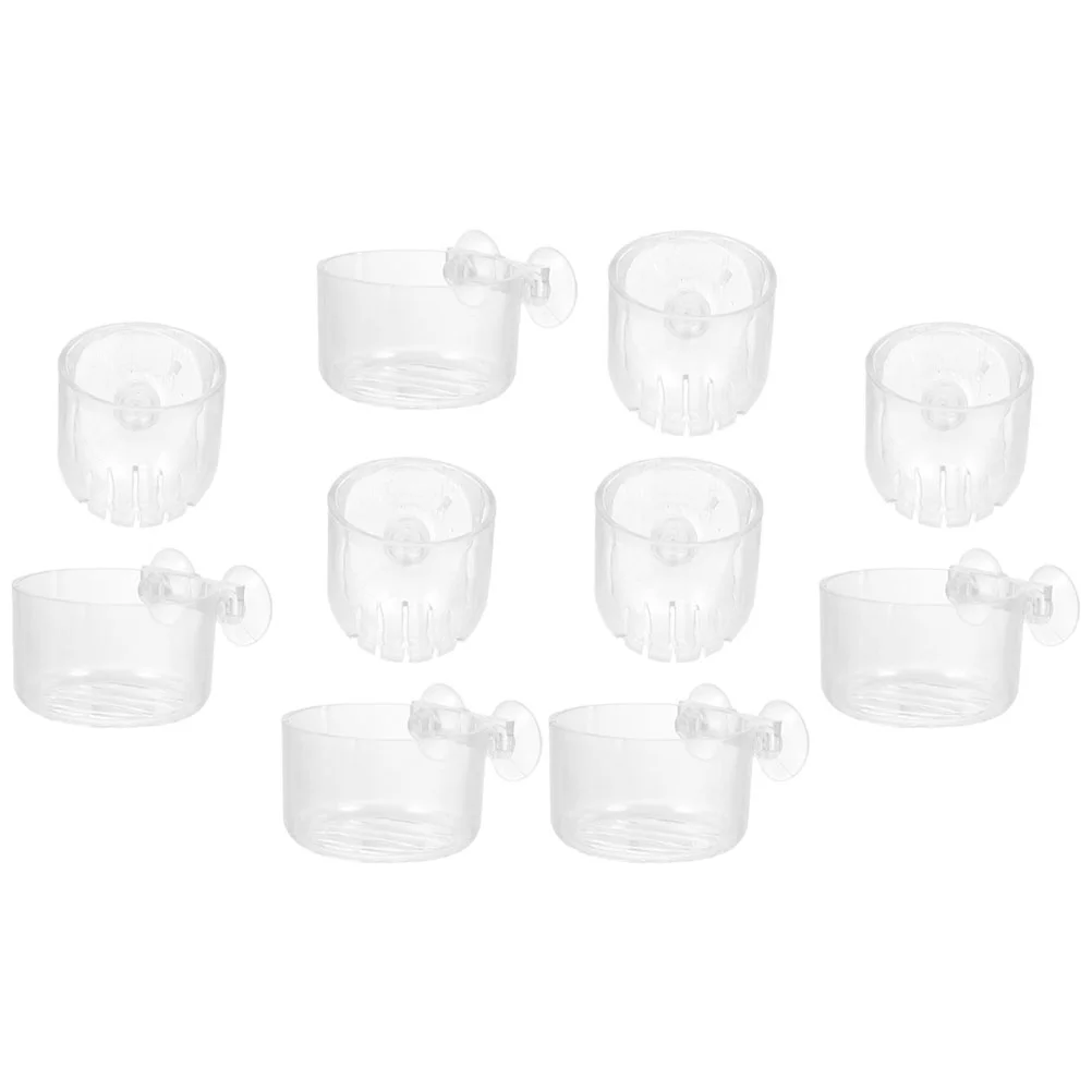 10 Pcs Aquatic Cup Cups Ceramic Planter Accessories Fish Tank Landscape Decoration Acrylic Floating Aquarium Pot
10 Pcs Aquatic Cup Cups Ceramic Planter Accessories Fish Tank Landscape Decoration Acrylic Floating Aquarium Pot