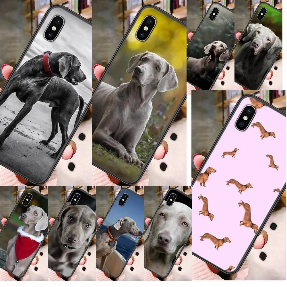 For iPhone 13 12 11 Pro Max 8 6S 7 Plus XS XR Mini 5S SE 2022 7P 6P Weimaraner Dog Art TPU Phone Cover Bags All
For iPhone 13 12 11 Pro Max 8 6S 7 Plus XS XR Mini 5S SE 2022 7P 6P Weimaraner Dog Art TPU Phone Cover Bags All
