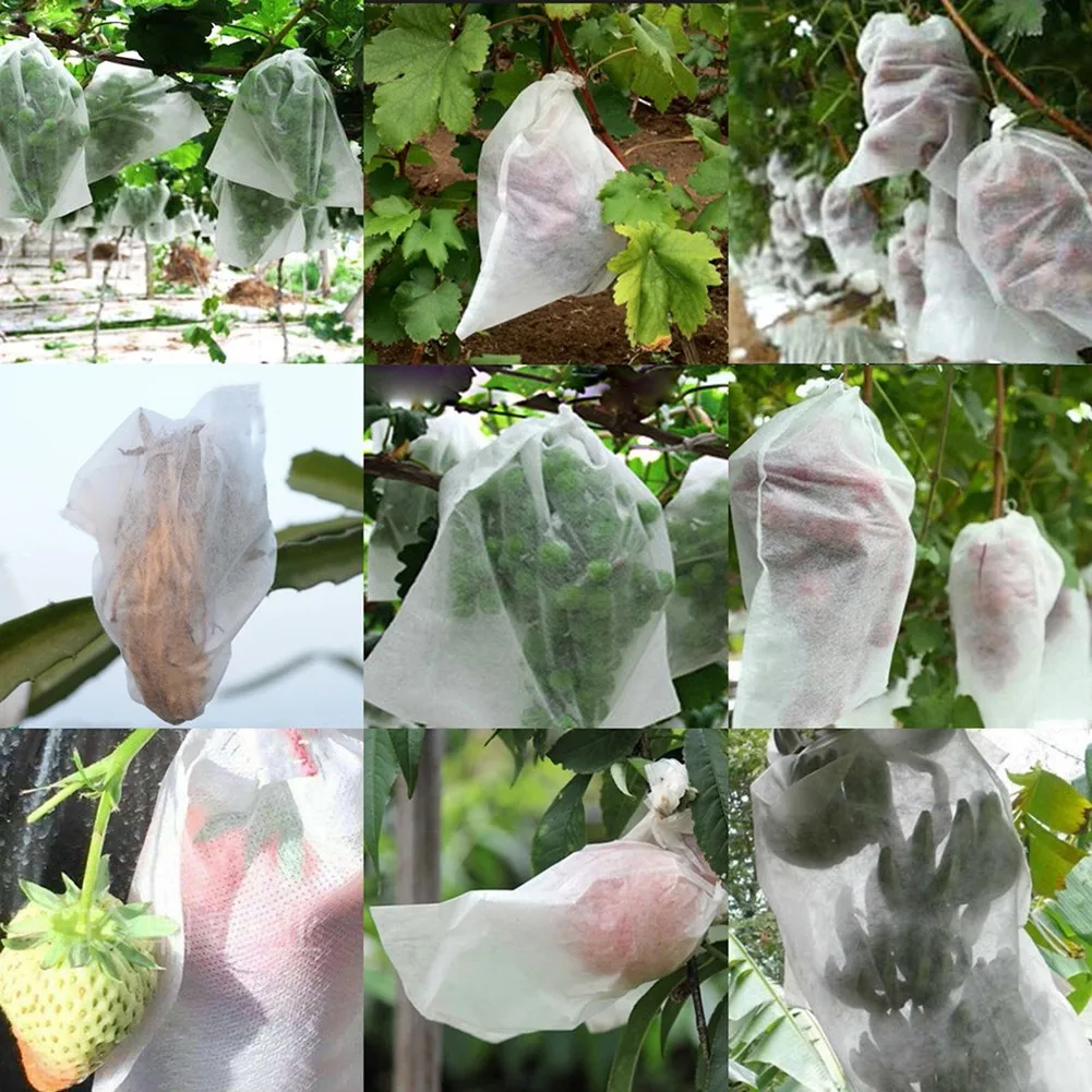 Plant Fruit Cover Grape Protection Bags Garden Drawstring Pest Plant Care Protect Net Accessories Against Insect
Plant Fruit Cover Grape Protection Bags Garden Drawstring Pest Plant Care Protect Net Accessories Against Insect
