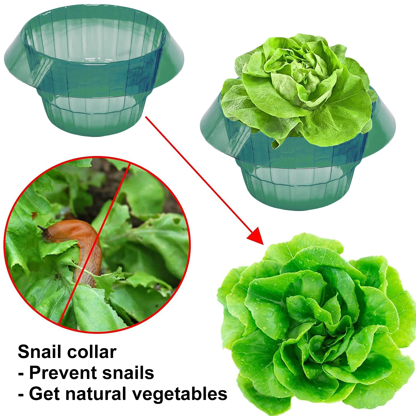 6/10 шт., защитные кольца для салата, с защитой от улитки
6/10 шт., защитные кольца для салата, с защитой от улитки