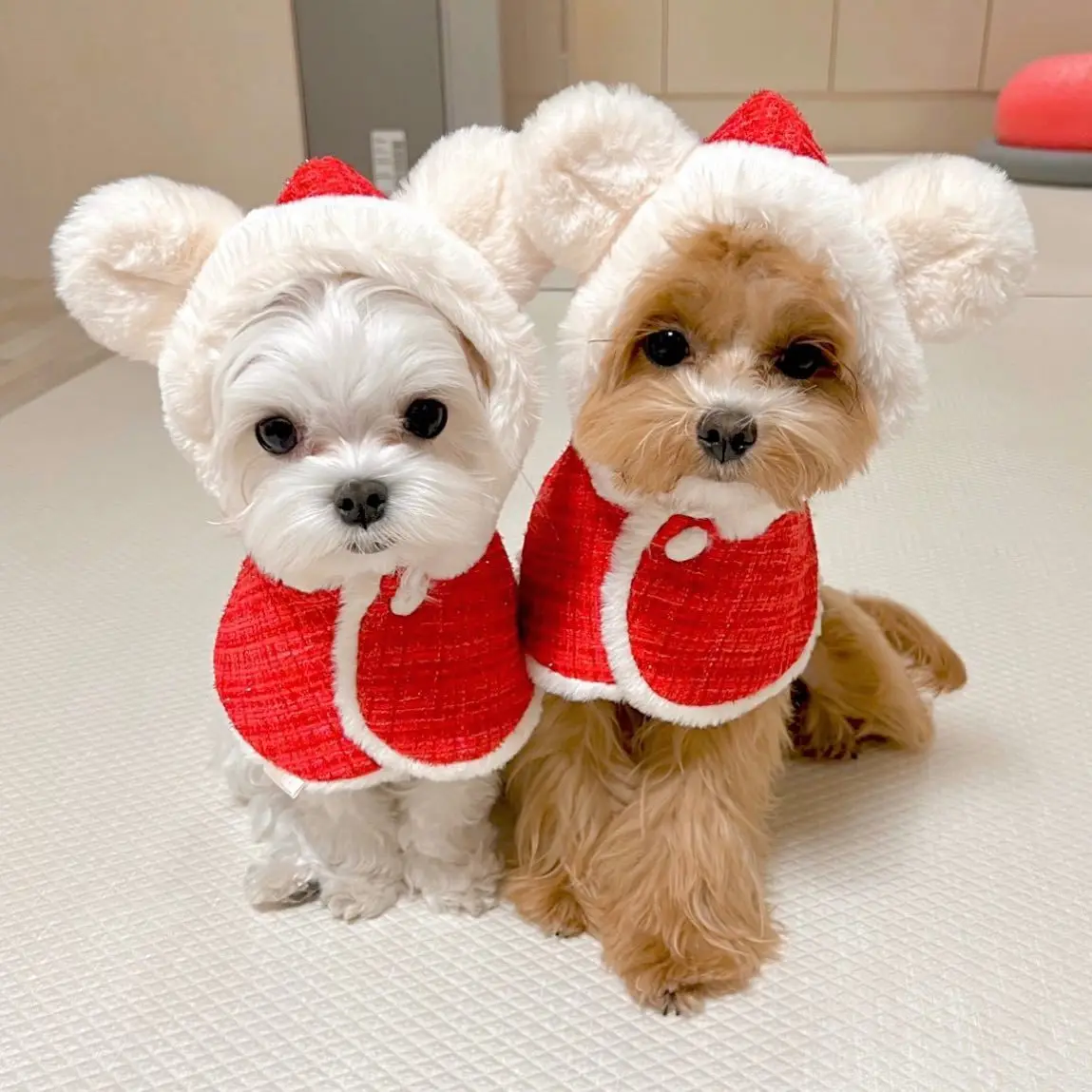 

Winter INS Christmas Plush Ears Hooded Bib Cape Cloak Warm Maltese New Year Dog Sweater Cape Puppy Dog Clothes Dog Accessories
