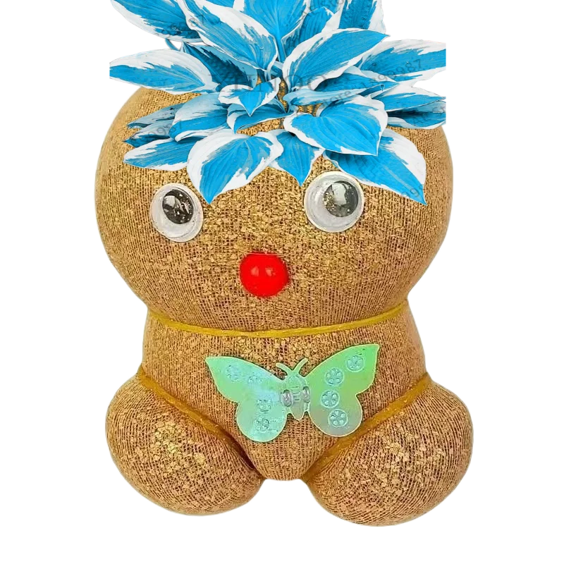Декоративная кукла для сада с головой цветка Coleus 
Декоративная кукла для сада с головой цветка Coleus