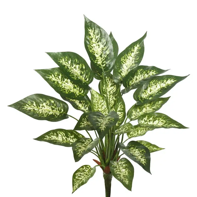 Artificial Green and White Dieffenbachia Exotica Bush. Fake roses Hydrangea artificial flowers Pressed flowers Decorations for p
Artificial Green and White Dieffenbachia Exotica Bush. Fake roses Hydrangea artificial flowers Pressed flowers Decorations for p