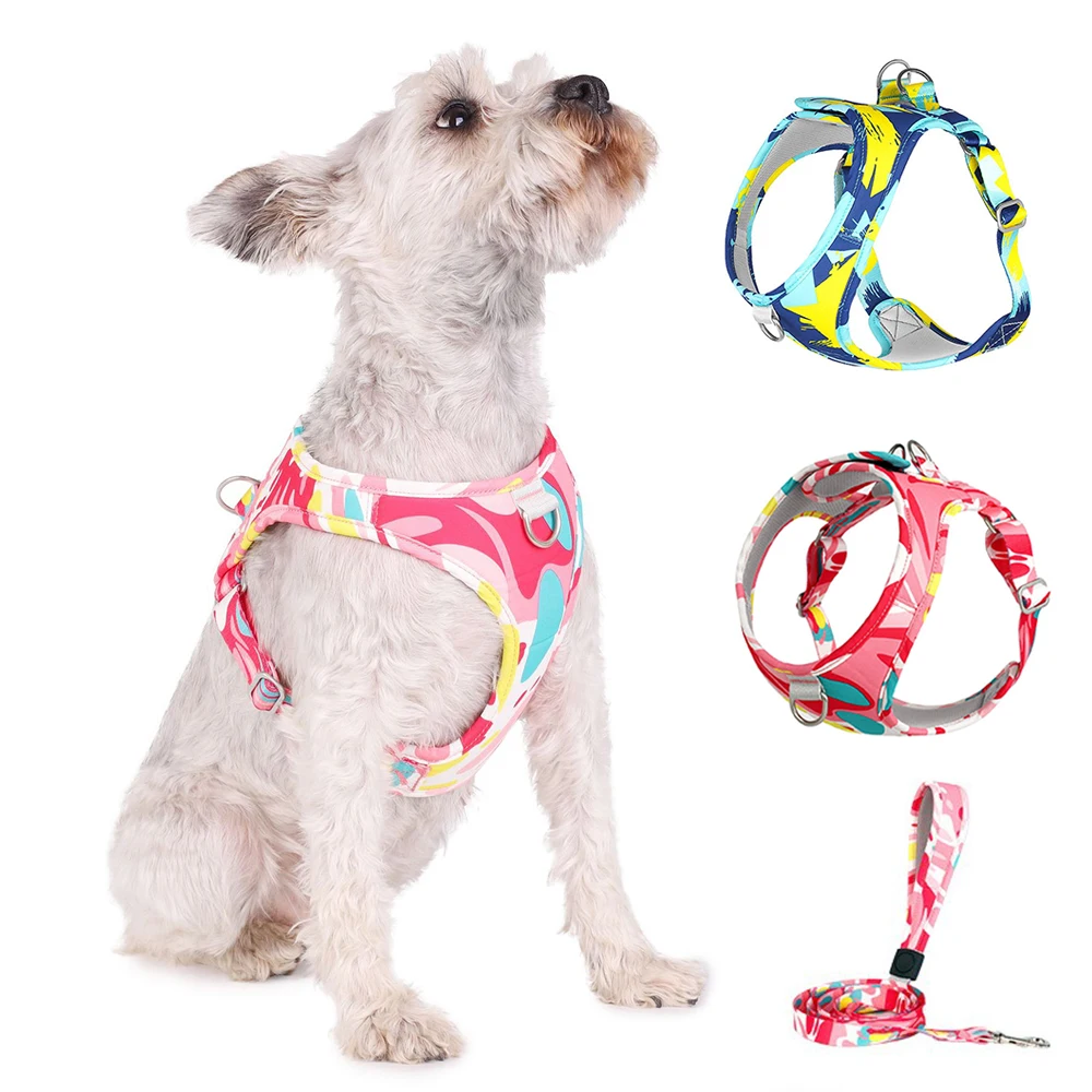Nylon Dog Harness And Leash Set Adjustable Pet Harness Vest For Small Medium Dogs Walking Running French Bulldog Chihuahua York
Nylon Dog Harness And Leash Set Adjustable Pet Harness Vest For Small Medium Dogs Walking Running French Bulldog Chihuahua York