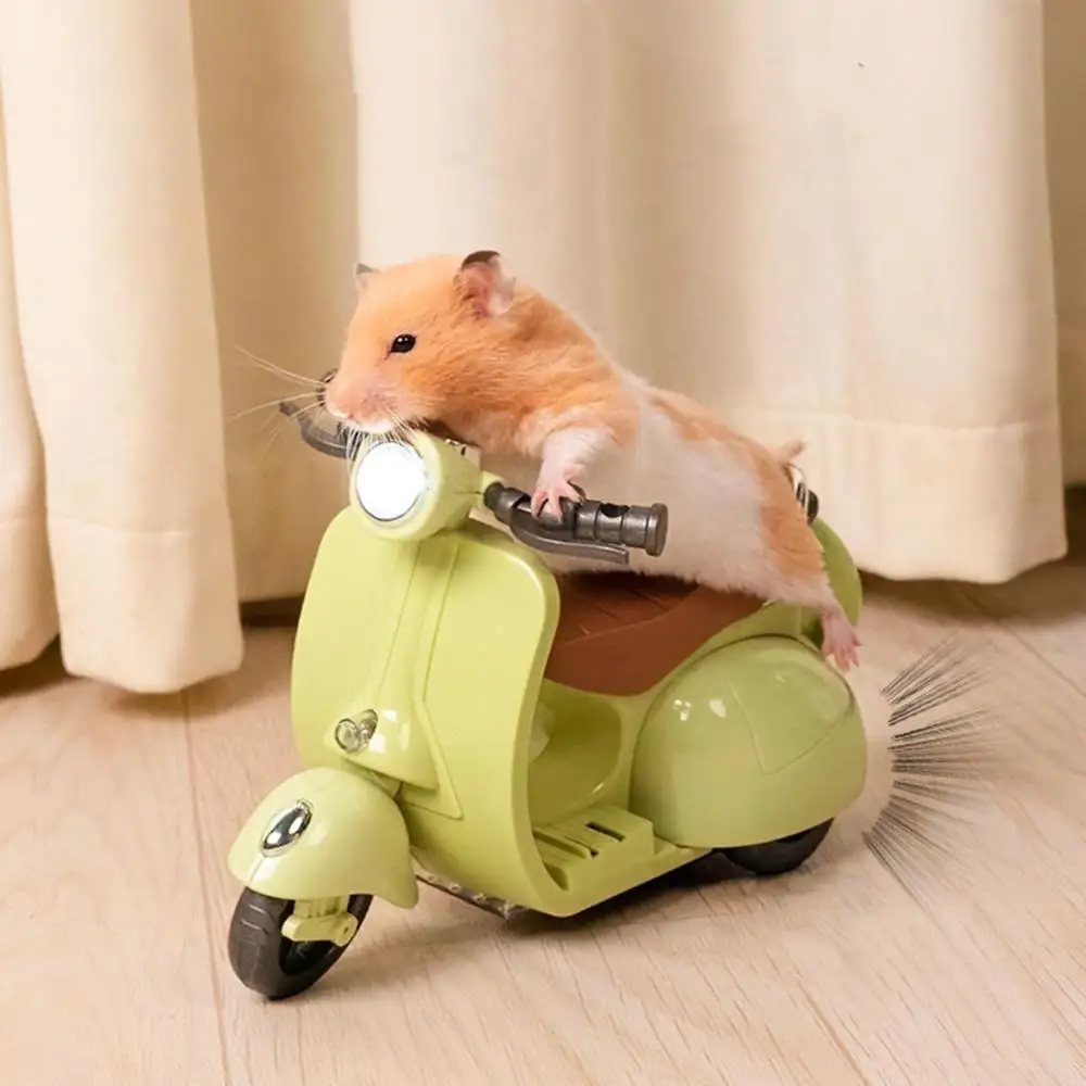 Hamster Stunt Spinning Motorcycle 360 Degree Rotating Light Music Electric Scooter Creative Toy Gifts Pet Supplies
Hamster Stunt Spinning Motorcycle 360 Degree Rotating Light Music Electric Scooter Creative Toy Gifts Pet Supplies