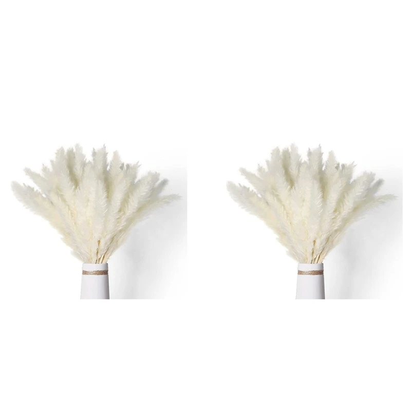 80Pcs Natural Dried White Pampas Grass 45CM Fluffy And Swinging DIY Boho Plant For Wedding Flower Arrangements Decor
80Pcs Natural Dried White Pampas Grass 45CM Fluffy And Swinging DIY Boho Plant For Wedding Flower Arrangements Decor