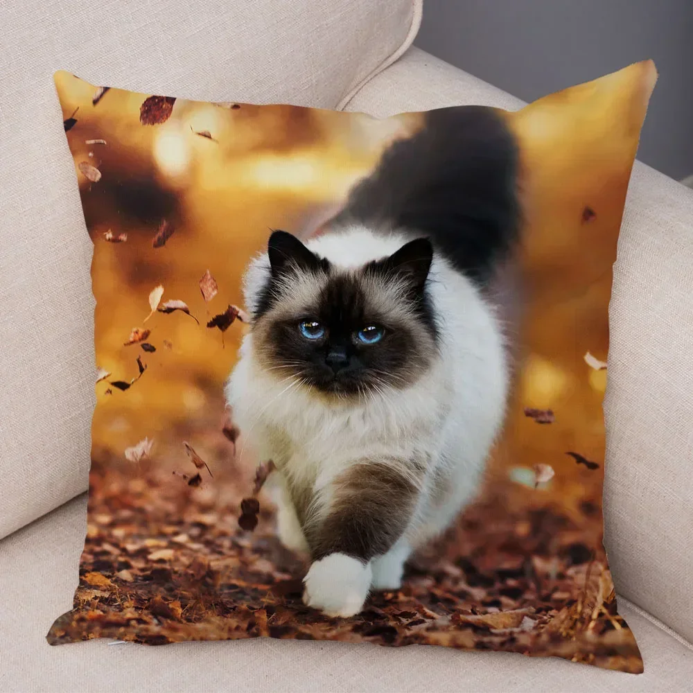 Квадратная наволочка из полиэстера 45x45 см
Квадратная наволочка из полиэстера 45x45 см