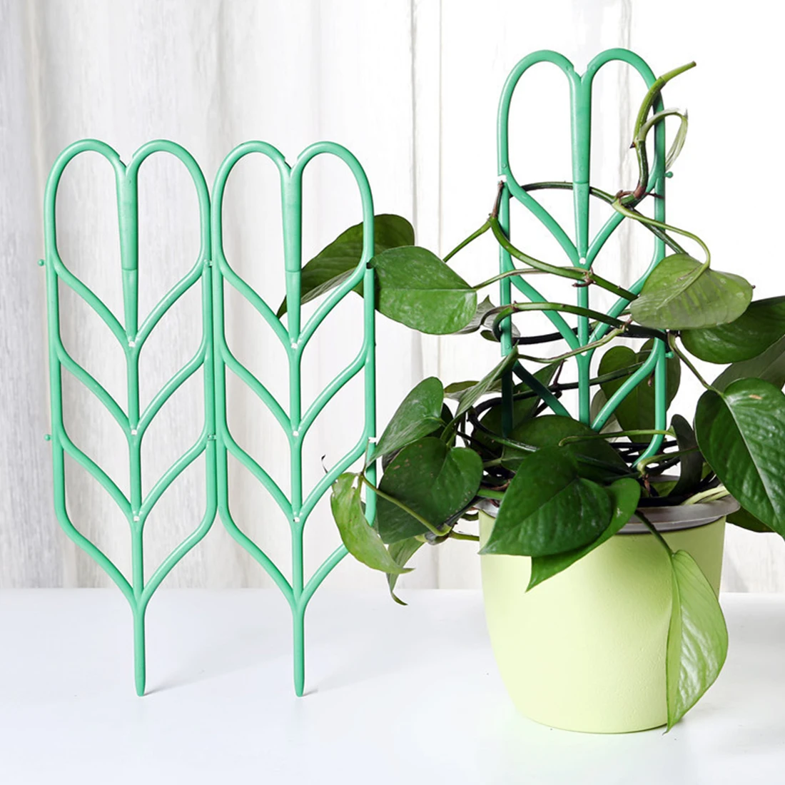 1Pc Or 6Pcs Climbing Vine Rack Plant Potted Support Frame Plastic Flower Vegetables Decorative Trellis Bracket Garden Supplies
1Pc Or 6Pcs Climbing Vine Rack Plant Potted Support Frame Plastic Flower Vegetables Decorative Trellis Bracket Garden Supplies