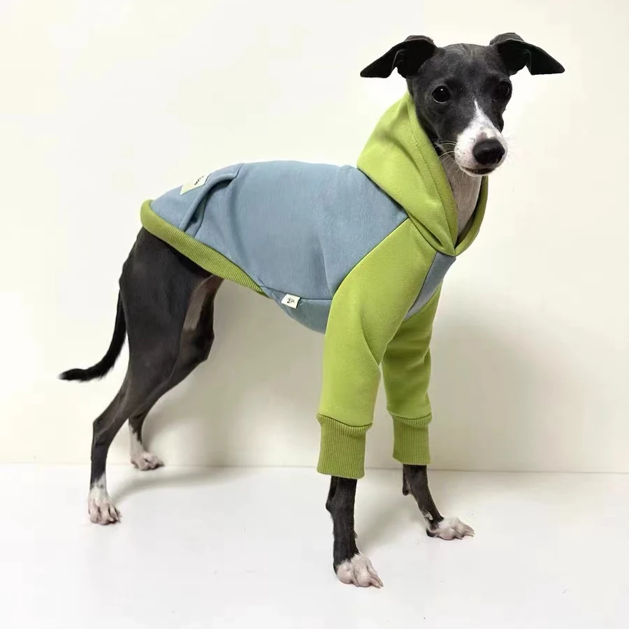 Winter Thickened Hooded Color Block Pet Sweatshirt Warm Greyhound Whippet Large Size Dog Clothes
Winter Thickened Hooded Color Block Pet Sweatshirt Warm Greyhound Whippet Large Size Dog Clothes