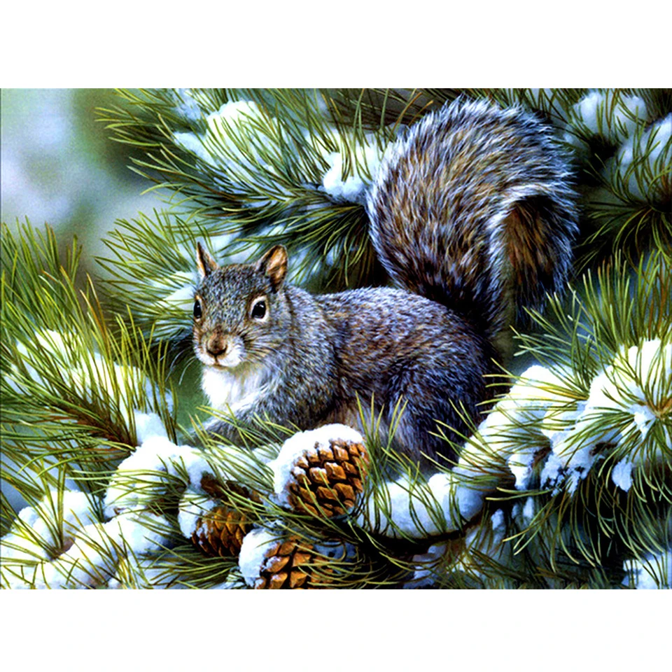 5D DIY Diamond Painting Animal Squirrel Cross Stitch Kit Full Diamond Embroidery Mosaic Gift Rhinestone Picture Home Decoration
5D DIY Diamond Painting Animal Squirrel Cross Stitch Kit Full Diamond Embroidery Mosaic Gift Rhinestone Picture Home Decoration