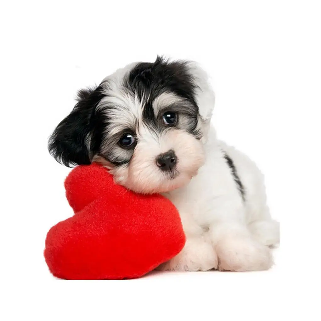 5D DIY Rhinestone Painting Diamond Square Cross-stitch Love Heart Dogs Drawing Embroidery Mosaic Picture of Rhinestone Gift
5D DIY Rhinestone Painting Diamond Square Cross-stitch Love Heart Dogs Drawing Embroidery Mosaic Picture of Rhinestone Gift