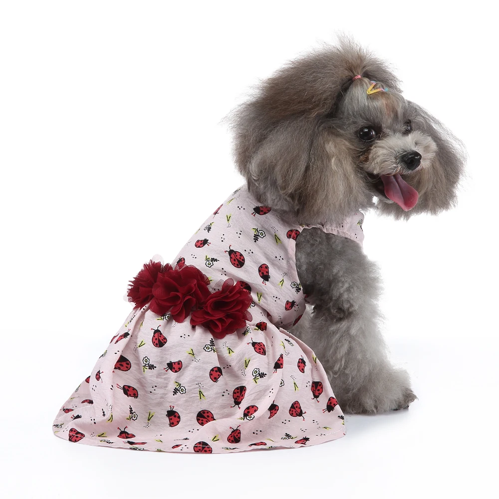 

Puppy Women's Summer Cute Kawaii Luxury Clothes 2022 For Small Breeds Dog Cats Fancy Evening Lolita Wedding Dress Poodle Chihuah