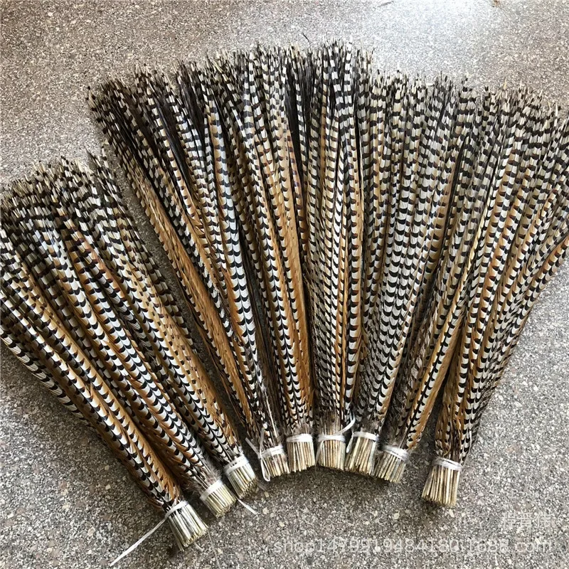 Wholesale 50 / lot beautiful natural pheasant feathers 12-64 inches /30-160 cm DIY dance celebration decoration
Wholesale 50 / lot beautiful natural pheasant feathers 12-64 inches /30-160 cm DIY dance celebration decoration
