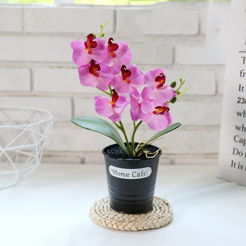 New Product Simulation Flower Phalaenopsis Bonsai Creative Decoration Simulation Plant Factory Direct Supply Of Silk Flowers
New Product Simulation Flower Phalaenopsis Bonsai Creative Decoration Simulation Plant Factory Direct Supply Of Silk Flowers