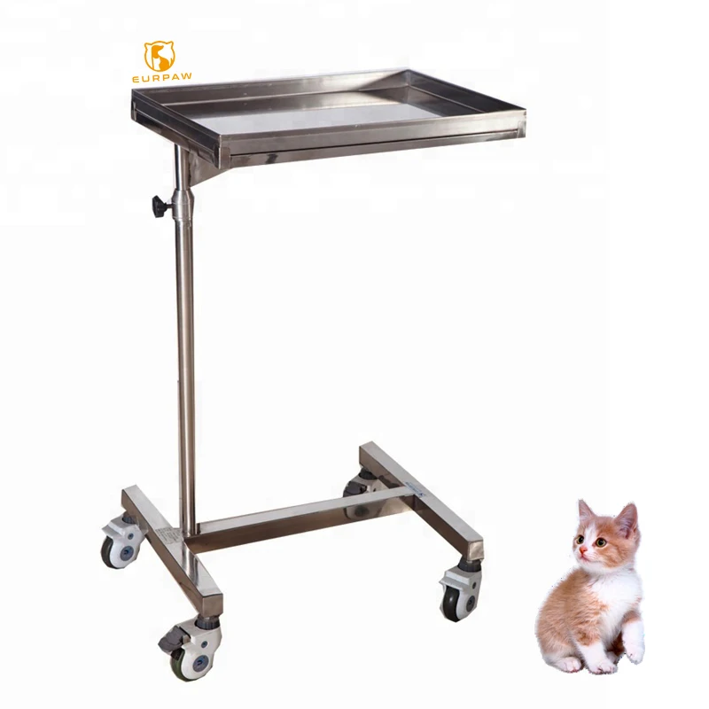 EURPET Portable Stainless Steel Doctor Nurse Medical Trolley Hospital Monitor Trolley For Medical
EURPET Portable Stainless Steel Doctor Nurse Medical Trolley Hospital Monitor Trolley For Medical