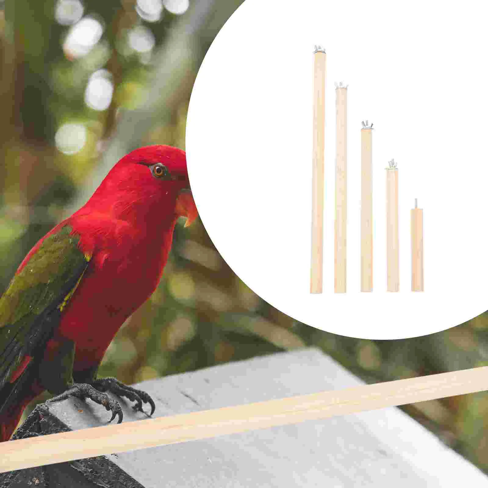 

5 Pcs Xuan Feng Wood Toy Parakeet Perch Bird Standing Rod Chew Cockatiel Toys Parrot Wooden Perches Birdcage Cages Accessories