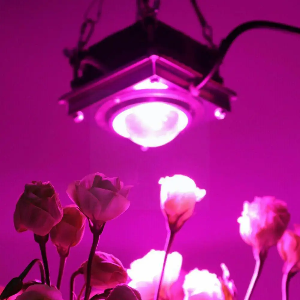 Full Spectrum Cob Plant Growth Light 50w/60wled Greenhouse Planting Filling Light Succulent Flower Lamp Vegetable X8R3
Full Spectrum Cob Plant Growth Light 50w/60wled Greenhouse Planting Filling Light Succulent Flower Lamp Vegetable X8R3