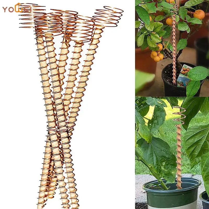 1/6Pcs Electroculture Plant Stake Wood Rod Garden Vegetables Growing Electro Culture Copper Wire Coil Antenna Yard
1/6Pcs Electroculture Plant Stake Wood Rod Garden Vegetables Growing Electro Culture Copper Wire Coil Antenna Yard