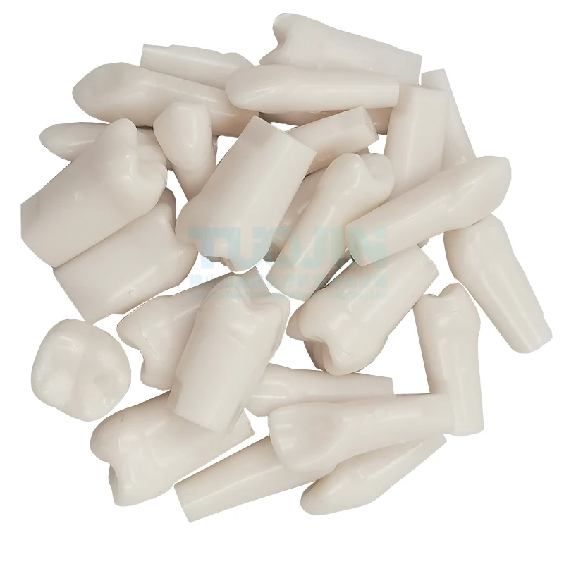 Free Shipping10PCS Compatible 500HGSF Dental Resin Tooth Plastic Replacement Teeth Model For Dentist Study Training Tools 
Free Shipping10PCS Compatible 500HGSF Dental Resin Tooth Plastic Replacement Teeth Model For Dentist Study Training Tools