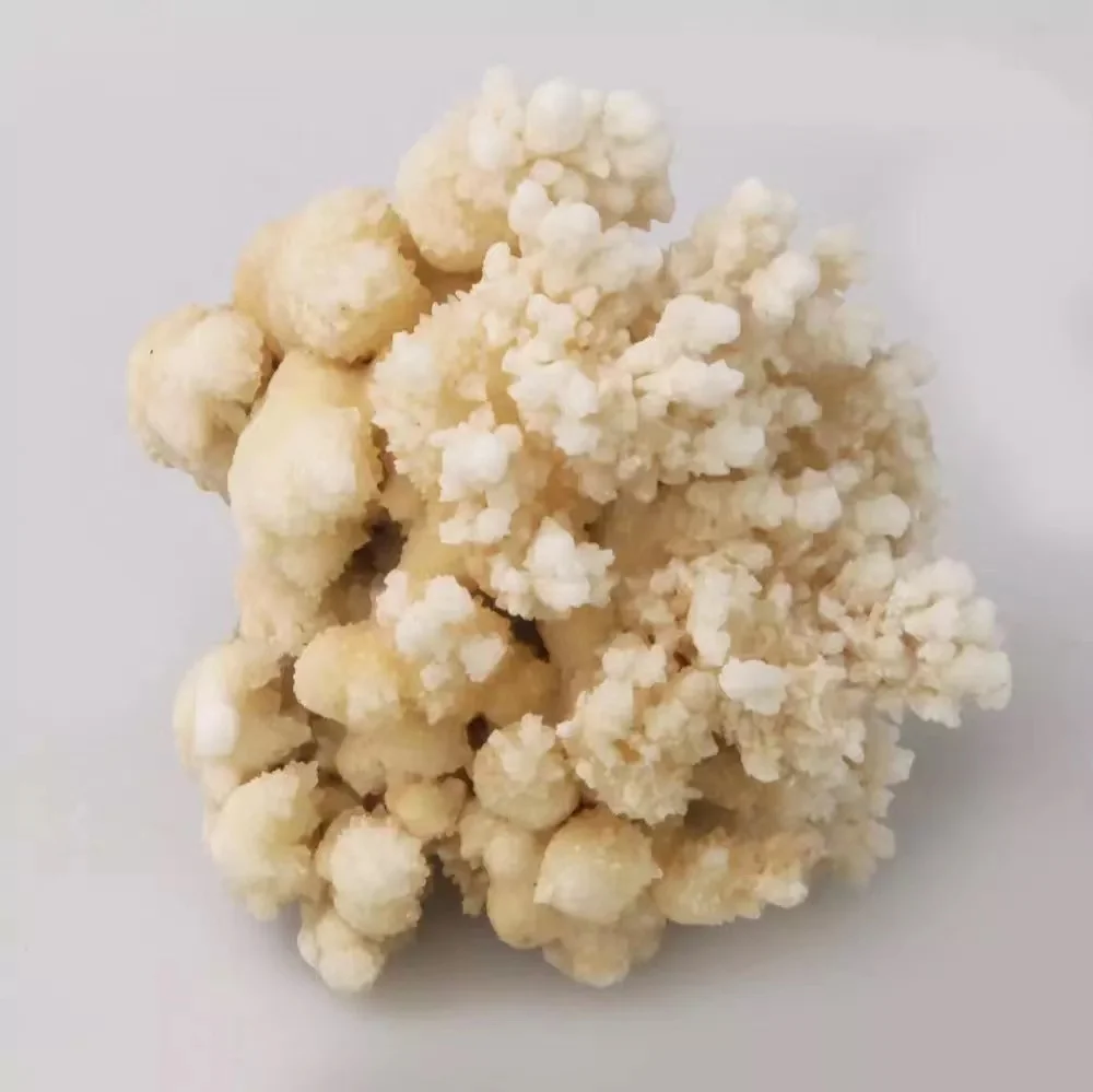 Грубые натуральные белые и желтые сталактитовые кварцевые кристаллы, лечебные фотоорнаменты для поделок, подарки
Грубые натуральные белые и желтые сталактитовые кварцевые кристаллы, лечебные фотоорнаменты для поделок, подарки