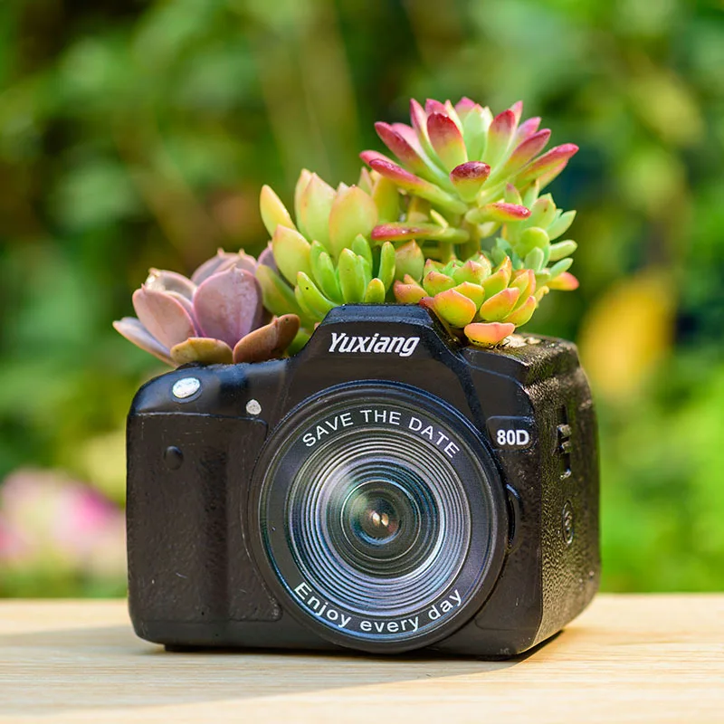 Digital Camera Flowerpot Bar and Guesthouse Counter Decoration Resin Decoration Garden Terrace Garden Micro View Flower Trough
Digital Camera Flowerpot Bar and Guesthouse Counter Decoration Resin Decoration Garden Terrace Garden Micro View Flower Trough