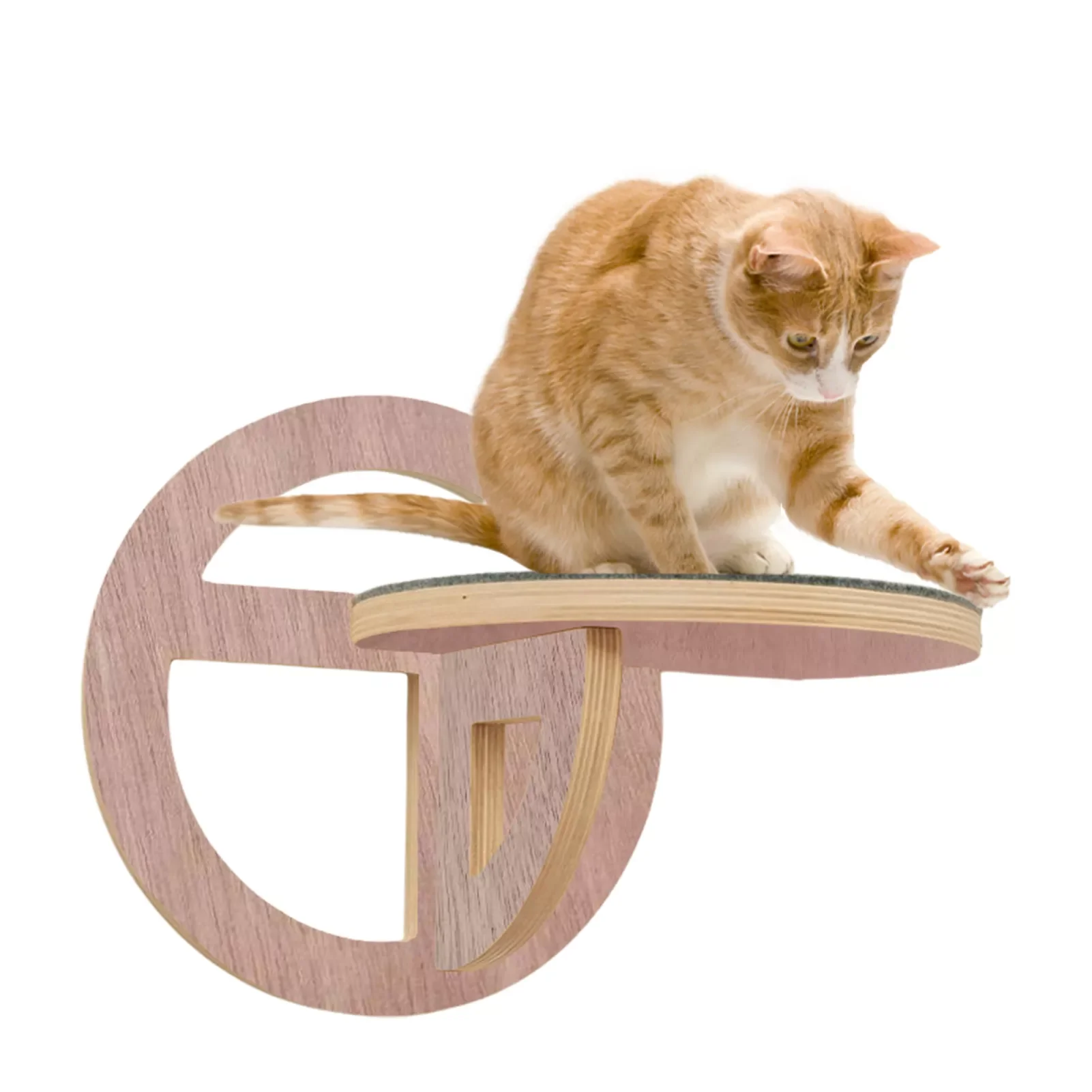 2023NEW Wall Mounted Cat Shelf Wooden Cat Climbing Shelves And Perches Cat Ladder Steps For Indoor Cats Kitten Climbing Post For
2023NEW Wall Mounted Cat Shelf Wooden Cat Climbing Shelves And Perches Cat Ladder Steps For Indoor Cats Kitten Climbing Post For