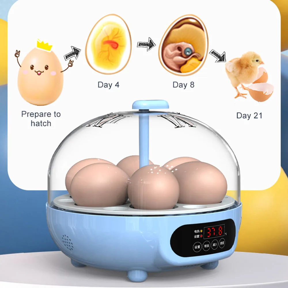 Automatic Intelligence 6Eggs Incubator Temperature Humidity Control Incubator Chicken Birds Duck Goose 6 Eggs Brooder Farm Tools
Automatic Intelligence 6Eggs Incubator Temperature Humidity Control Incubator Chicken Birds Duck Goose 6 Eggs Brooder Farm Tools