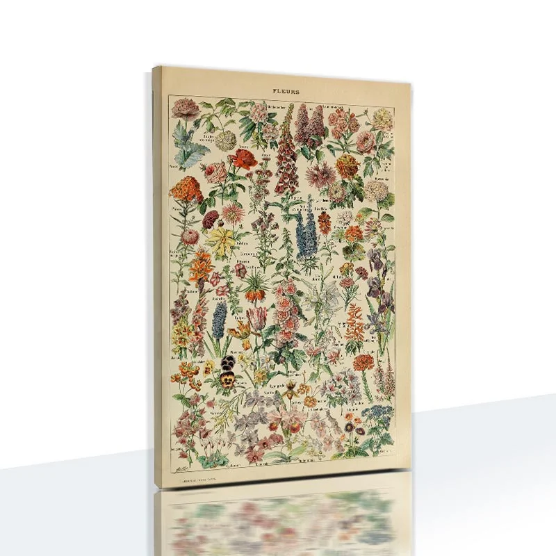 Animals and Plants Education Posters Butterfly Posters and Prints Fruits Canvas Paintings Vegetables Pictures Metal Wall Signs
Animals and Plants Education Posters Butterfly Posters and Prints Fruits Canvas Paintings Vegetables Pictures Metal Wall Signs