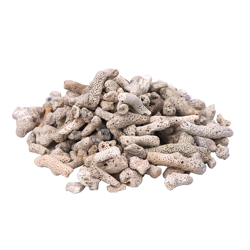 100g Aquarium Filter Media Natural Coral Bone Biological Filter for Fish Tank Aquarium Accessories
100g Aquarium Filter Media Natural Coral Bone Biological Filter for Fish Tank Aquarium Accessories