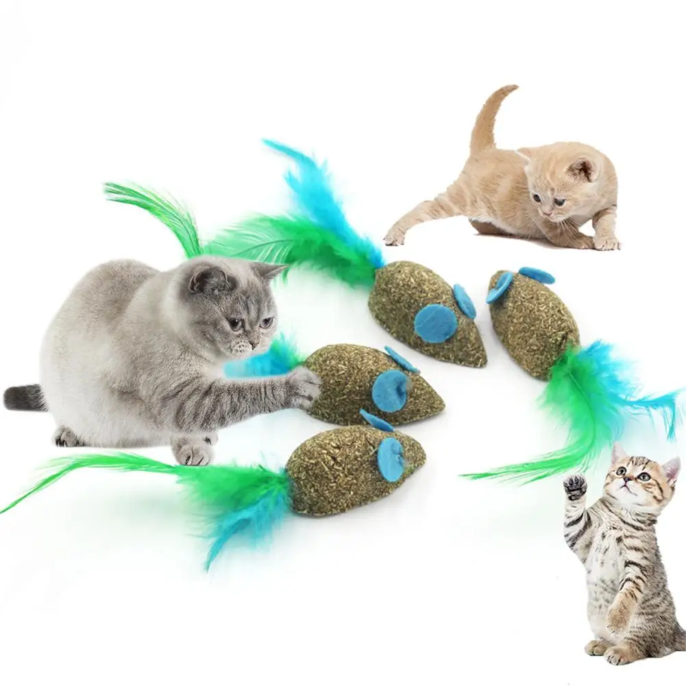 Cat Catnip Toys Cartoons Edible Catnip Ball Safety Healthy Cat Mint Cats Molar Teeth Clean Teeth Game Pet Toy Pet Product
Cat Catnip Toys Cartoons Edible Catnip Ball Safety Healthy Cat Mint Cats Molar Teeth Clean Teeth Game Pet Toy Pet Product