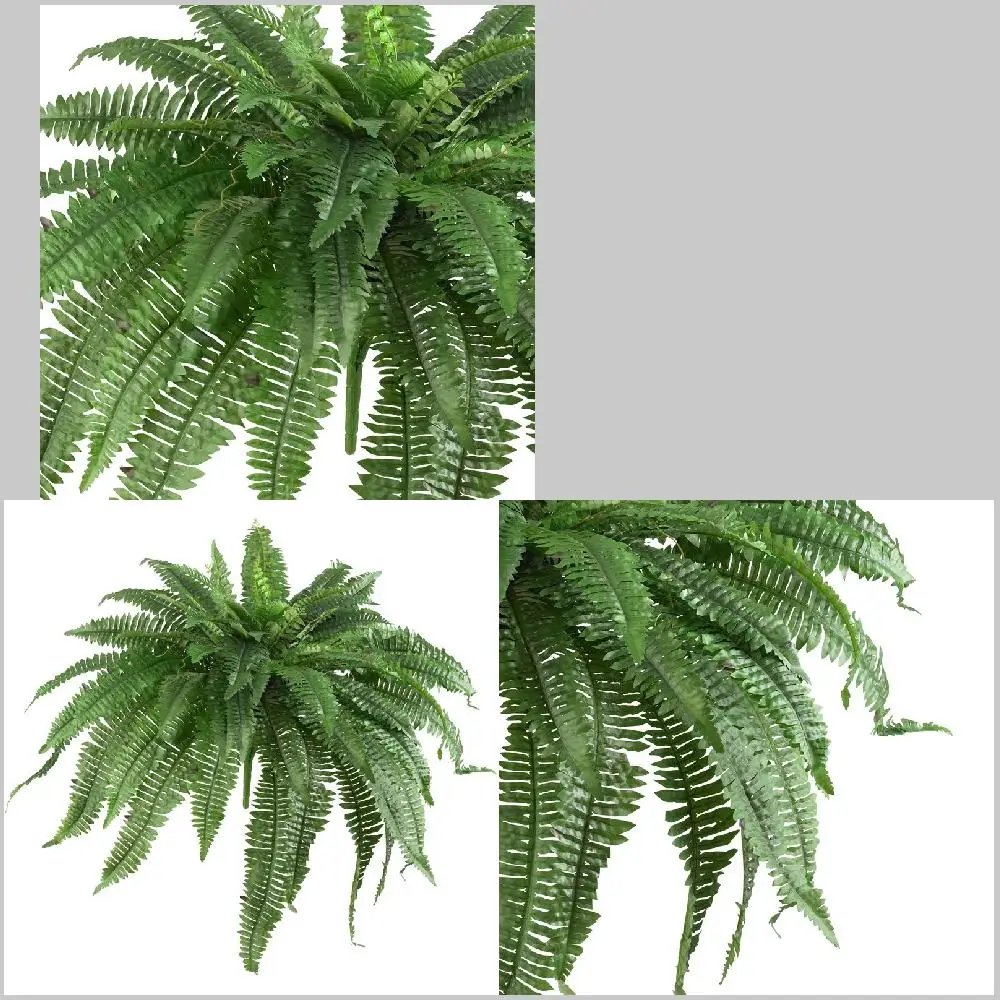Refreshing and Eye-catching Fake Plant with Pot Refreshing and Eye-catching Green Boston Fern Artificial Plant Set (2 Pcs) - Fa
Refreshing and Eye-catching Fake Plant with Pot Refreshing and Eye-catching Green Boston Fern Artificial Plant Set (2 Pcs) - Fa