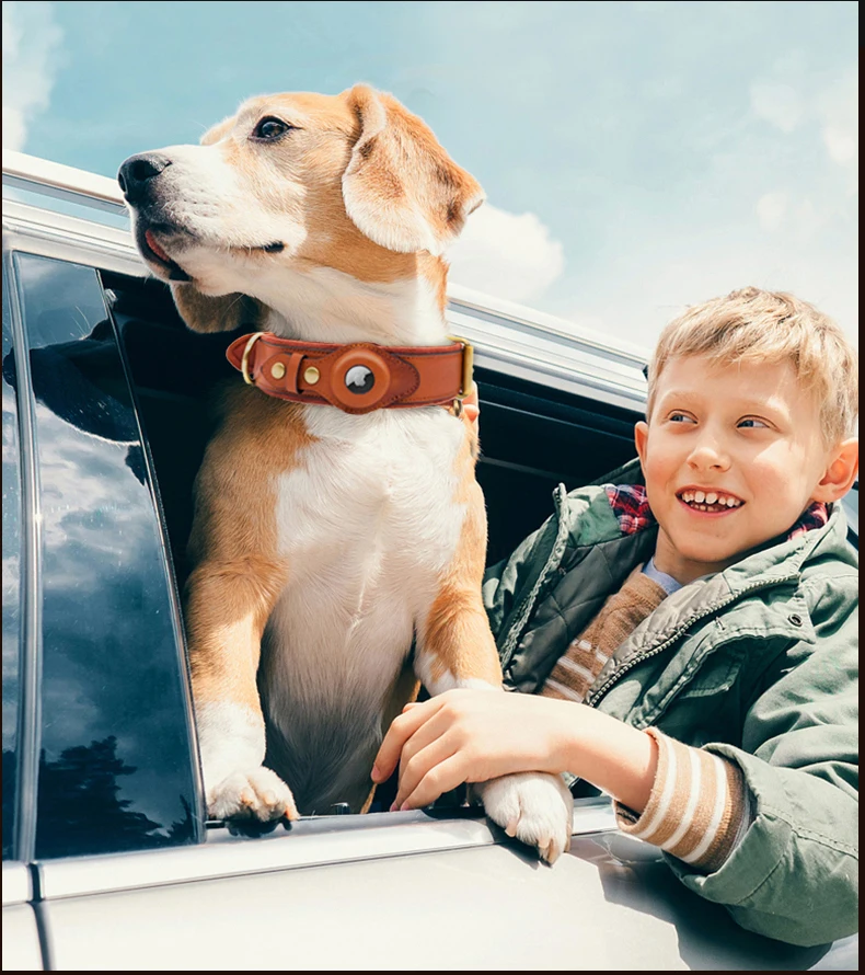 Leather Dog Collar for Small Medium Dogs Air Tag Accessories for Pet Dog Fashion Designers Adjustable Leather Collar perro
Leather Dog Collar for Small Medium Dogs Air Tag Accessories for Pet Dog Fashion Designers Adjustable Leather Collar perro