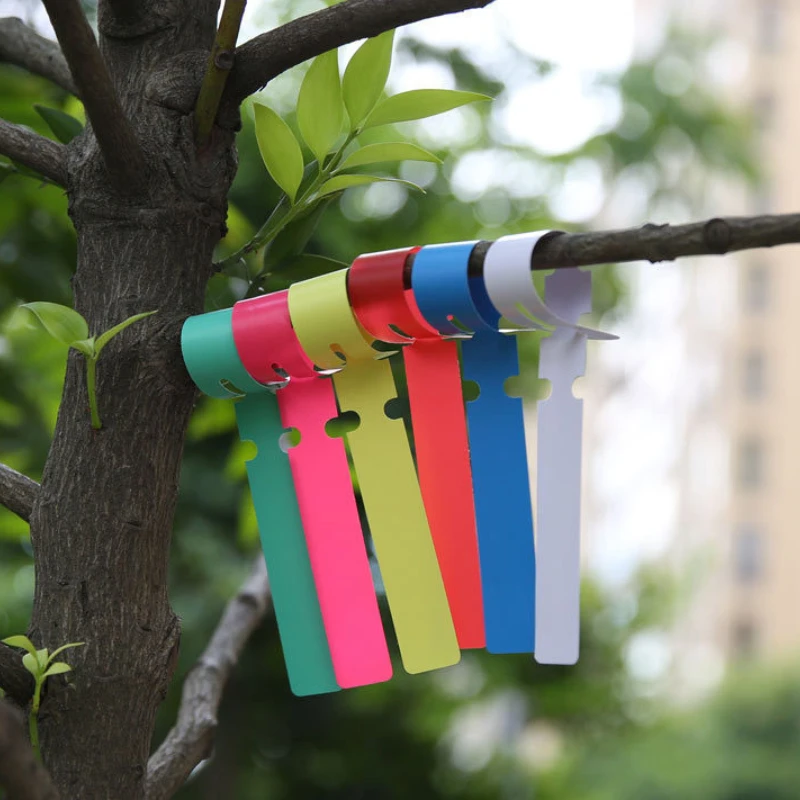 50/100Pcs PVC Plastic Plant Marker Plant Lableplant Markers for Garden Ring Plant Tag Waterproof Reusable Gardening Plant Marker 
50/100Pcs PVC Plastic Plant Marker Plant Lableplant Markers for Garden Ring Plant Tag Waterproof Reusable Gardening Plant Marker