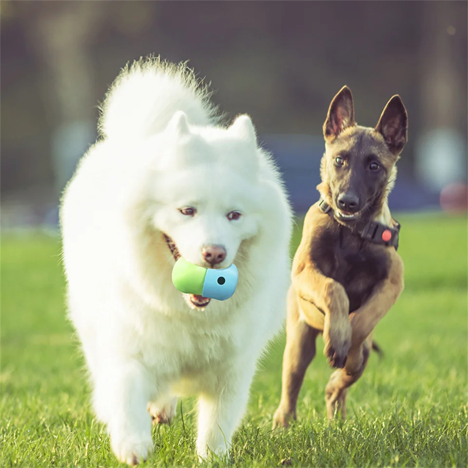 Pet Dog Toy Interactive Rubber Balls for Small Large Dogs Puppy Cat Chewing Toys Tooth Cleaning Dog Food Ball Pet Products
Pet Dog Toy Interactive Rubber Balls for Small Large Dogs Puppy Cat Chewing Toys Tooth Cleaning Dog Food Ball Pet Products
