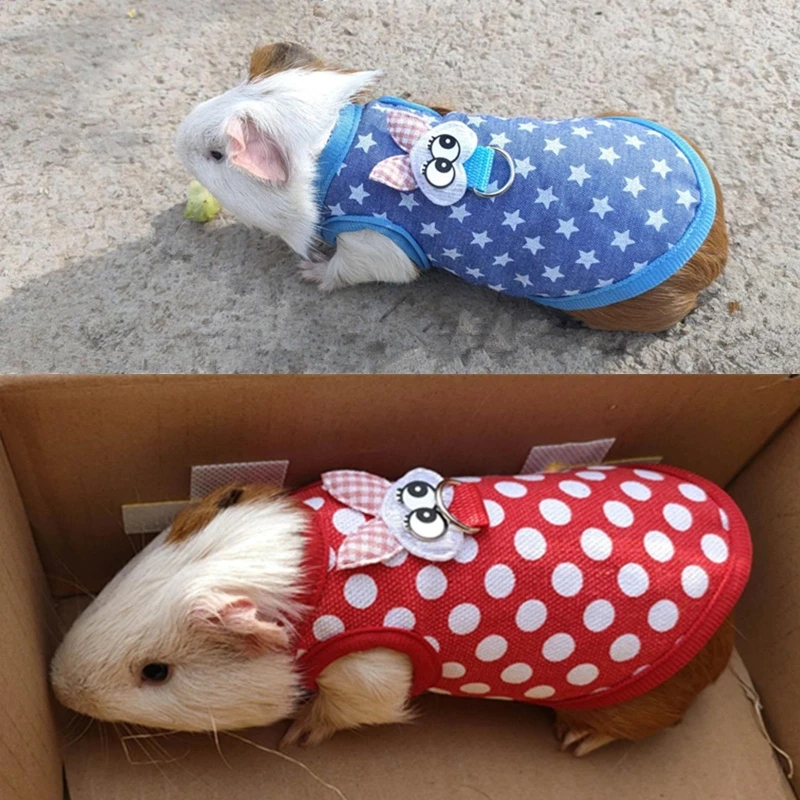 Ferret Harness and Leash Rabbit Vest Small Animal Outdoor Walking Cute Clothes for Chinchilla Small Two Sizes
Ferret Harness and Leash Rabbit Vest Small Animal Outdoor Walking Cute Clothes for Chinchilla Small Two Sizes