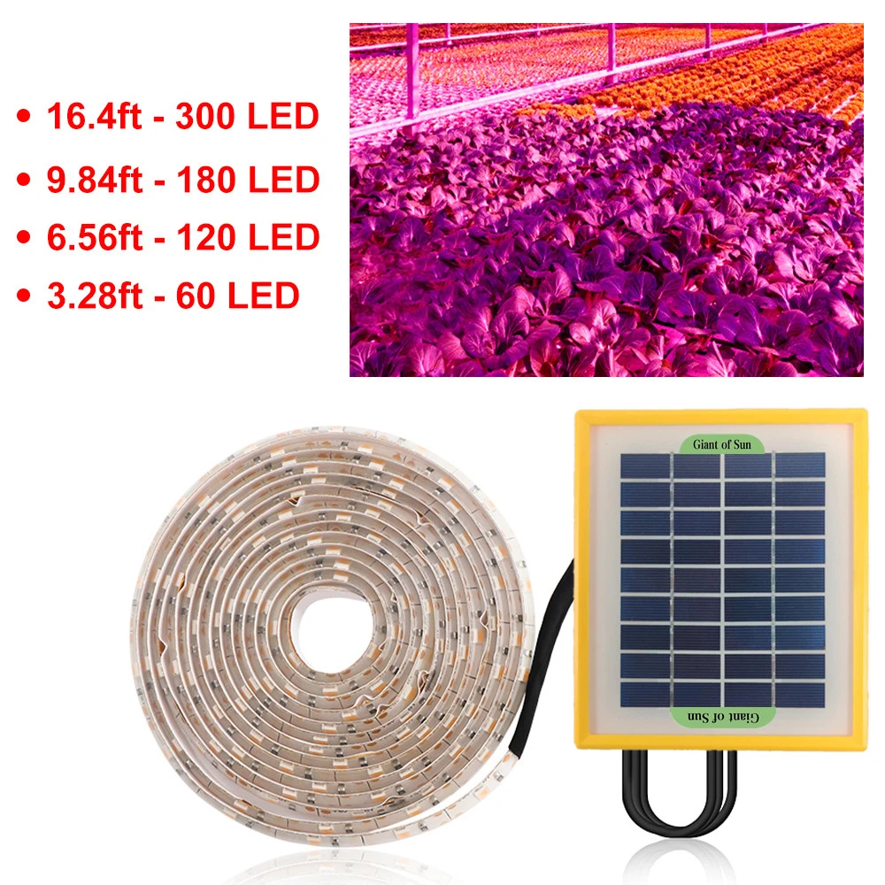 5m Solar Panel Powered Full Spectrum Phyto Lamp for Plants Flowers Vegetable Seedling DC 5V 5W 2835 SMD LED Greenhouse Hydroponi
5m Solar Panel Powered Full Spectrum Phyto Lamp for Plants Flowers Vegetable Seedling DC 5V 5W 2835 SMD LED Greenhouse Hydroponi